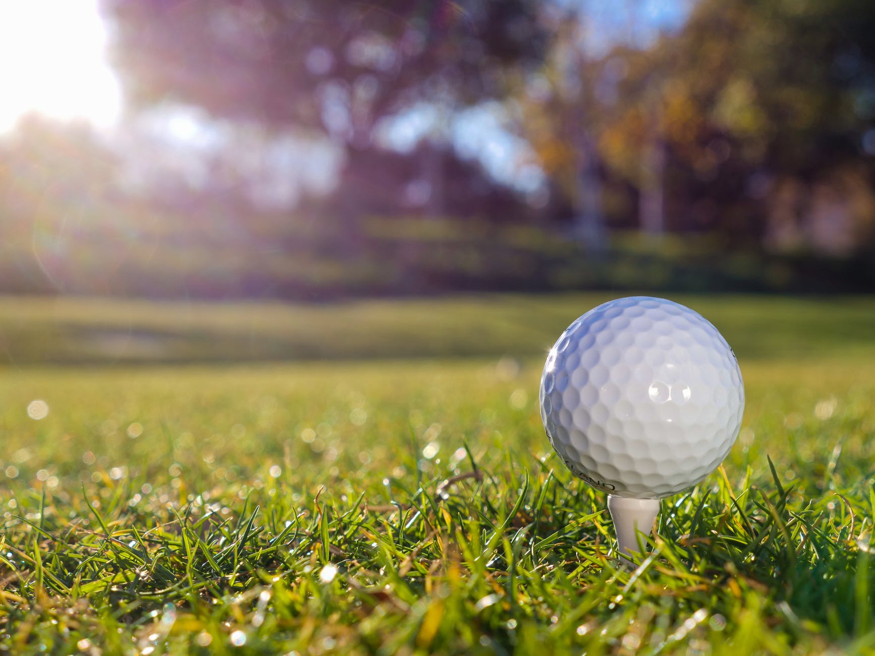 Picture of golf ball on grass in sunshine. 